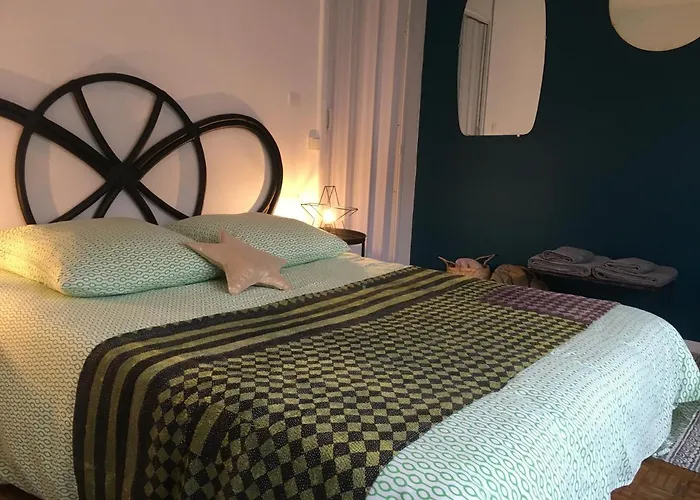 Apartamento Au Coeur De Gaudens